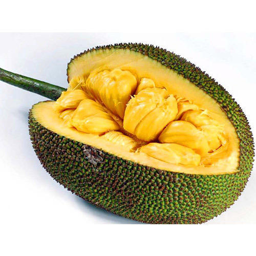 Organic Fresh Jackfruit, for Good Nutritions, Good Health, Packaging Type : Plastic Packet