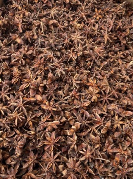 Dried star anise seeds, Packaging Type : Packet