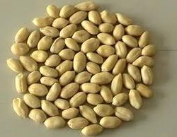 Peanut, Packaging Type : Jute bag