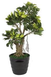 By Pollination Ficus Artificial Plant