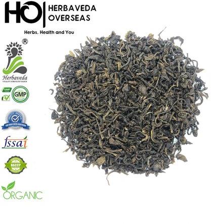 Fresh green tea, Packaging Type : Packet