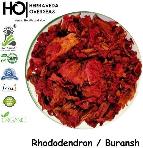 HERBAVEDA Rhododendron Dry Flower, Packaging Type : PP Bag