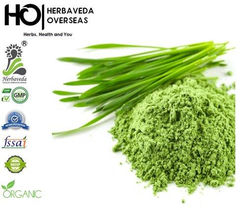 Herbaveda Wheat Grass Powder, Color : Green