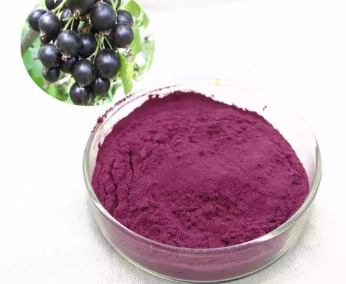 Black Currant Extract Powder, Color : Purple