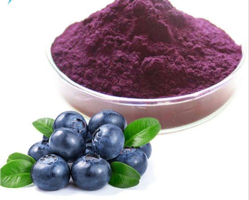 Blueberry Extract Powder, Purity : 99 Percent