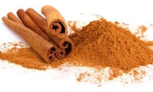 Cinnamon Extract Powder, Shelf Life : 6 Months