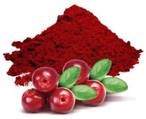 Cranberry Extract Powder, Packaging Type : Plastic Bag