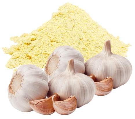 Garlic Extract Powder