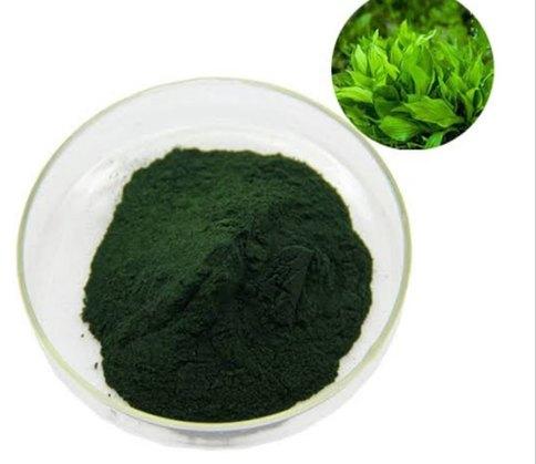 Spirulina Extract Powder, Color : Green