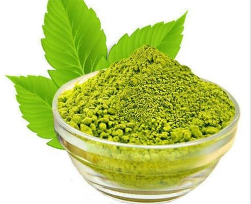 Tulsi Extract Powder, Color : Green