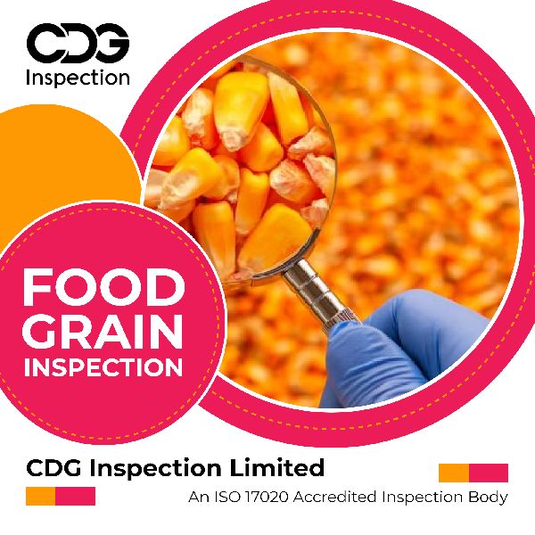 Service Provider of Food Grain Inspection Services from Gurugram