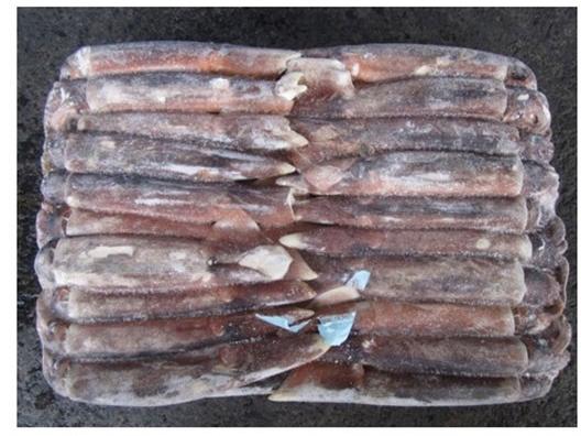 Frozen Illex Squid - lllex Argentinian - whole frozen illex squid