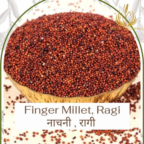 Organic Finger Millet, Packaging Type : 1kg, 2kg, 5kg, 10kg, 50 kg