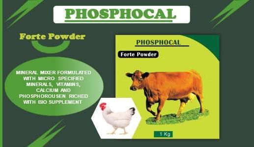 Phosphocal Forte Powder
