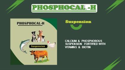 Phosphocal-H Suspension