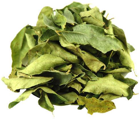 Dehydrated Curry Leaves, for Food Medicine, Packaging Type : Plastic Packet