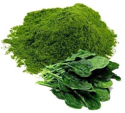 Dehydrated Spinach Powder, for Cooking, Packaging Type : Plastic Packet