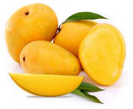 Organic alphonso mango, for Direct Consumption, Food Processing, Color : Yellow