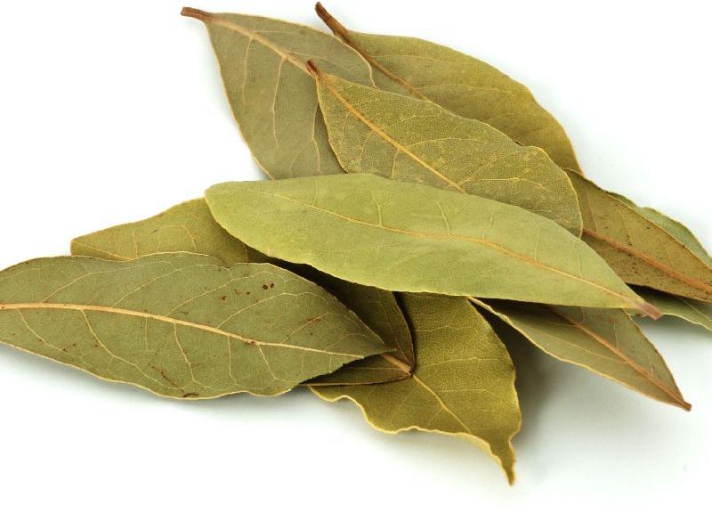 Organic Dried Bay Leaves, Feature : Good Quality, Highly Effective, Insect Free