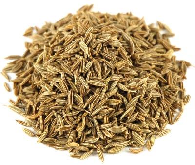 Cumin seeds, for Food Medicine, Specialities : Long Shelf Life