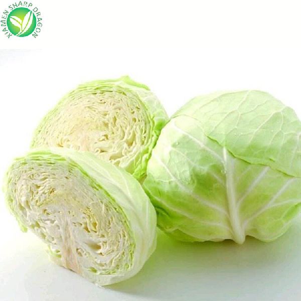 Cabbage
