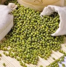 green mung beans