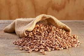 pinto beans