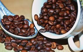 Robusta Coffee