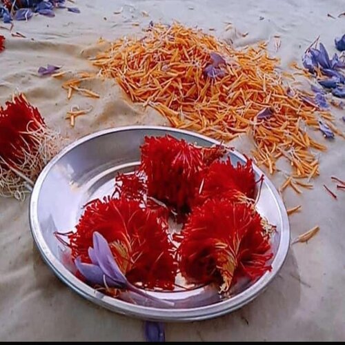 Saffron, for Spices, Style : Dried