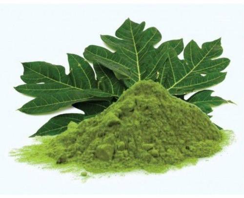 Papaya Leaf Powder, Color : Green