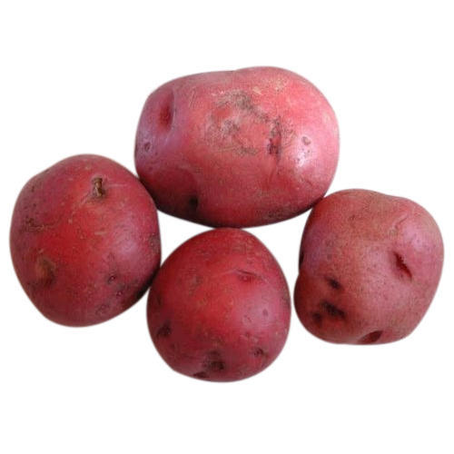 Oval Organic Fresh Lady Rosetta Potato, for Good Health, Packaging Type : Jute Bag