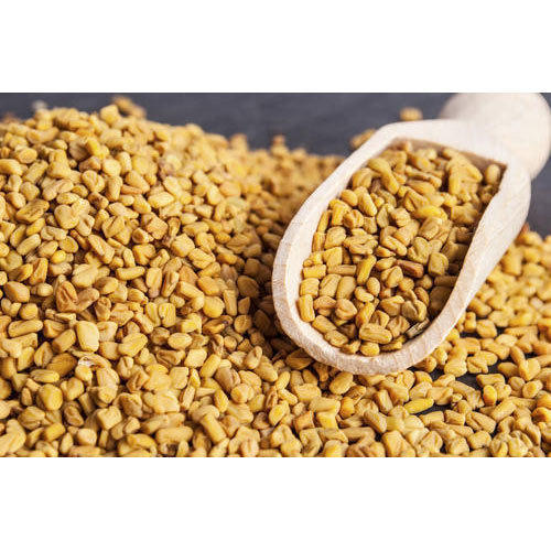 Raw Common Fenugreek Seed, for Food Medicine, Spices, Certification : FSSAI Certified