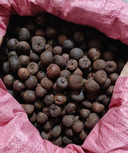 Round Organic Betel Nuts, for Ayurvedic Formulation, Medicine, Color : Brown