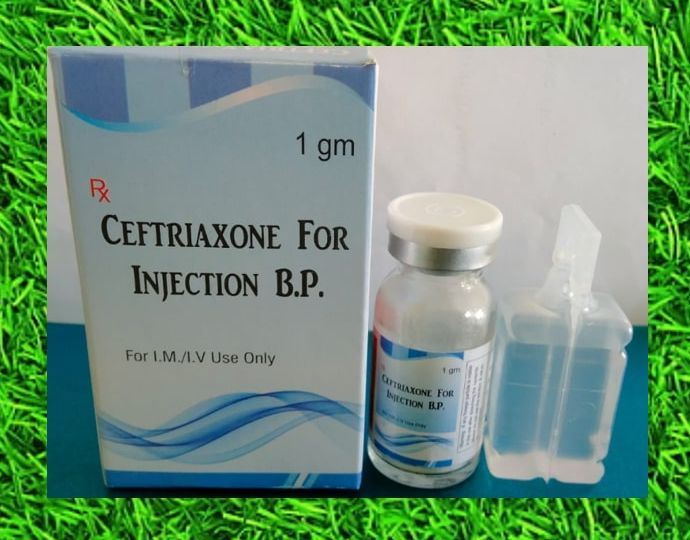 Ceftriaxone Injection, Form : Liquid