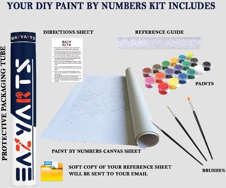 Paint by numbers for adults, Color : 24