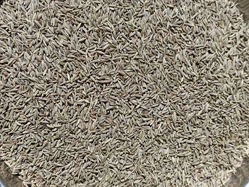 Cumin seeds