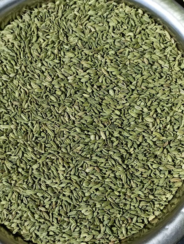 Fennel Seeds, for Spices