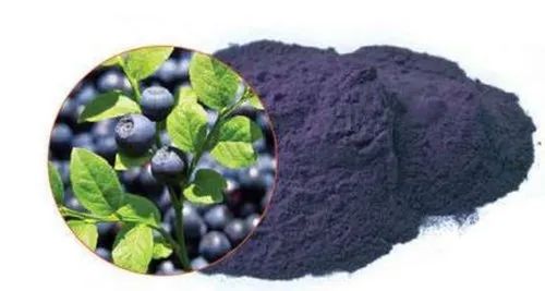 Jiya Nutraherbs Organic Bilberry Extract, Packaging Type : Packet