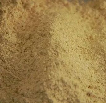 Jiya Nutraherbs Cissus Quadrangularis Extract, Style : Dried