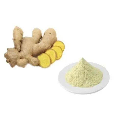 Jiya Nutraherbs Ginger Dry Extract, Shelf Life : 12 Months