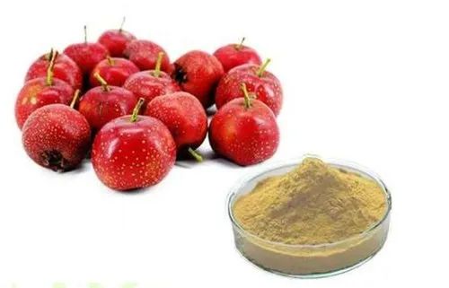 Jiya Nutraherbs Hawthorn Berry Extract, Shelf Life : 12 Months