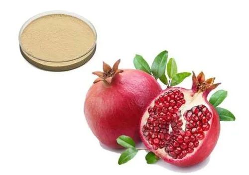 Jiya Nutraherbs Pomegranate Extract, Packaging Type : HDPE Drum