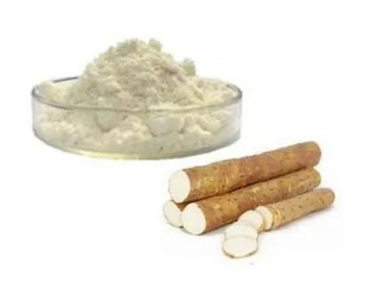 Wild Yam Extract, Packaging Type : Packet
