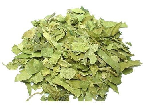 Green Gudmar Leaves, Packaging Size : 30kg