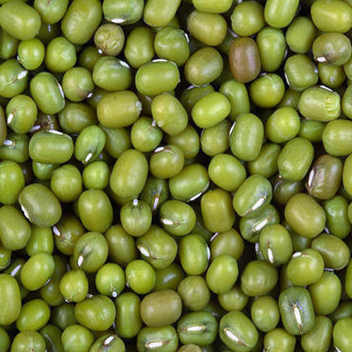 Organic Whole Green Moong Dal, Size Available : 7mm, 8mm