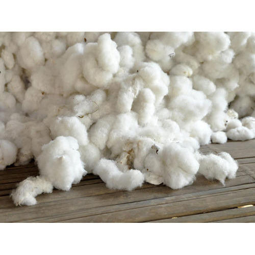 Raw cotton, for Textile Industry, Technics : Handloom