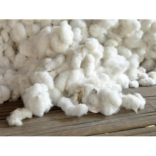 raw cotton