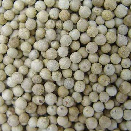 Natural white pepper seeds, for Cooking, Packaging Type : Plastic Packet