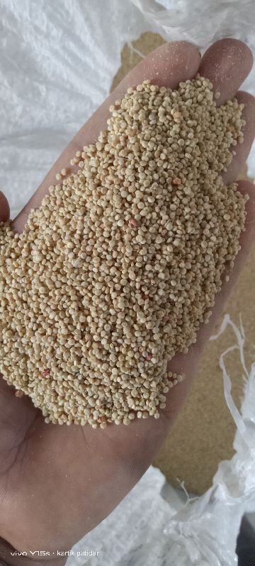 Organic Quinoa Seeds, Style : Dried