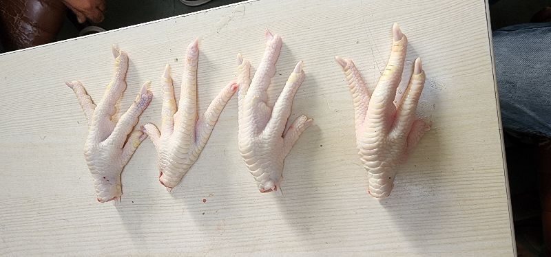 Chicken feet, Style : Frozen